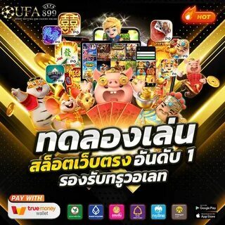bet3bet365 