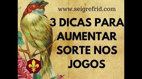 melhores casas de apostas esports 