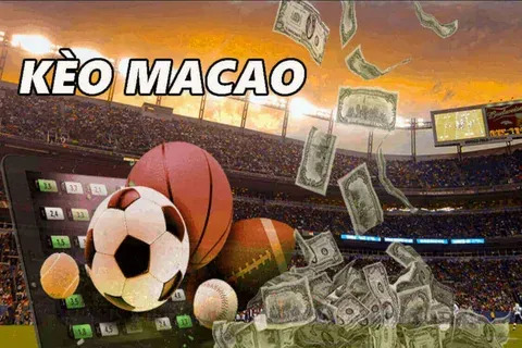plataforma bet com bonus de cadastro 