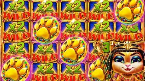 win win won 